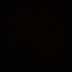 Meet your Posher, Bernardo